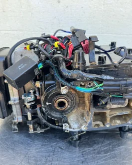 2006 Evinrude 40 HP Etec 2 Stroke Outboard Powerhead 5006190 OEM