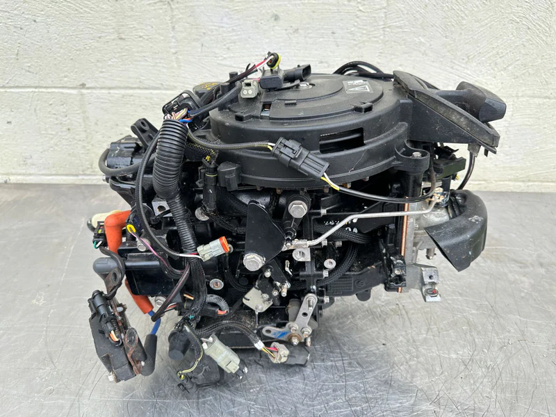 2013 Evinrude 30 HP 2 Stroke Outboard Powerhead 5008167 OEM - Image 2